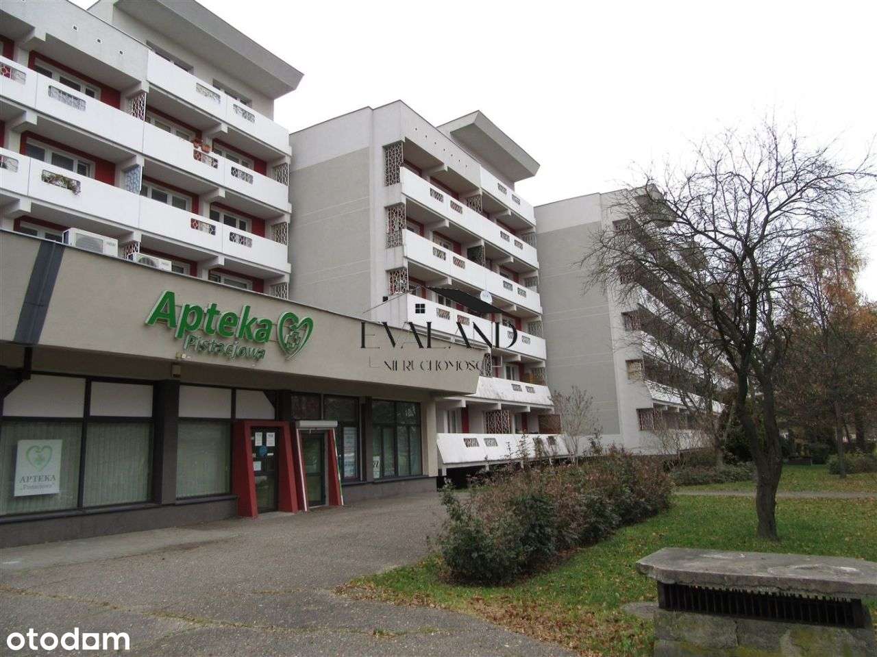 Trzypokojowe na Tysiącleciu-1