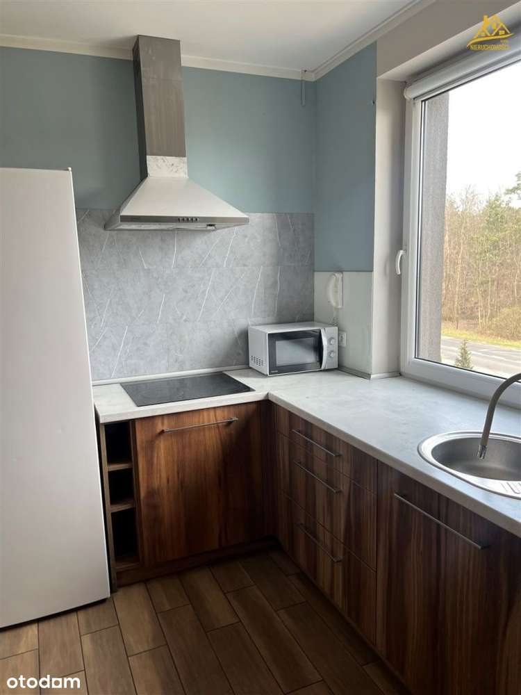 na wynajem duże mieszkanie w Dąbrowie Górniczej - Pełny obrazek: 3/13