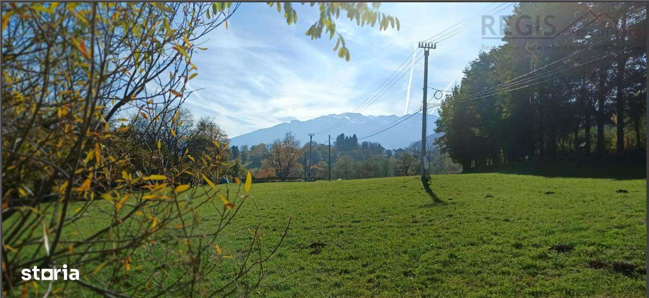 Teren intravilan zona Bran,Tohanita - Imagine principală: 4/15