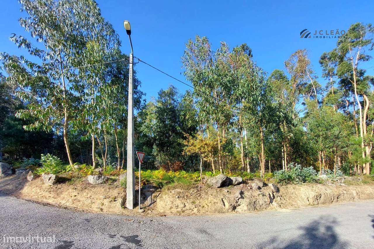 Terreno Urbano  Venda em Paredes,Paredes-5