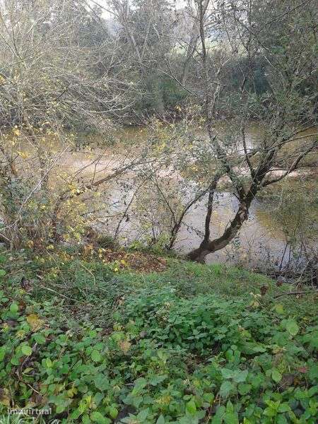 Terreno para Agricultura - Grande imagem: 4/4