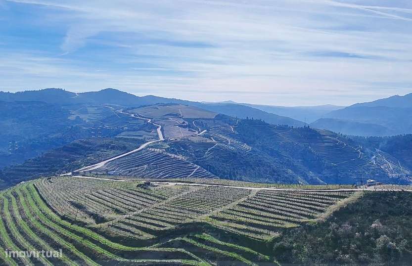 Vende-se terreno rústico em Valença do Douro - Tabuaço - Grande imagem: 4/13