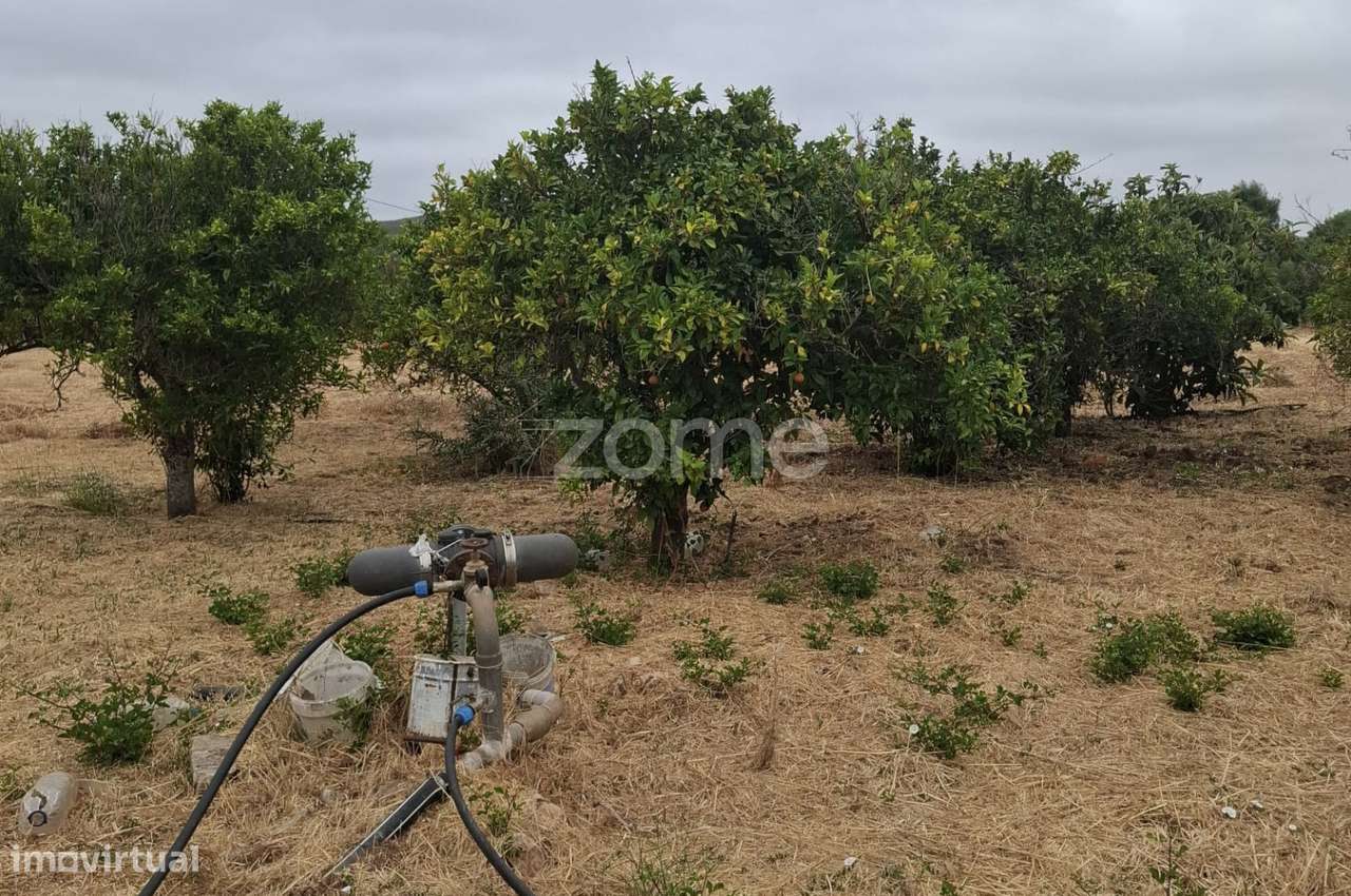 Terreno Rústico c/ Furo, c/ 18.360m2 em Messines - Grande imagem: 5/24