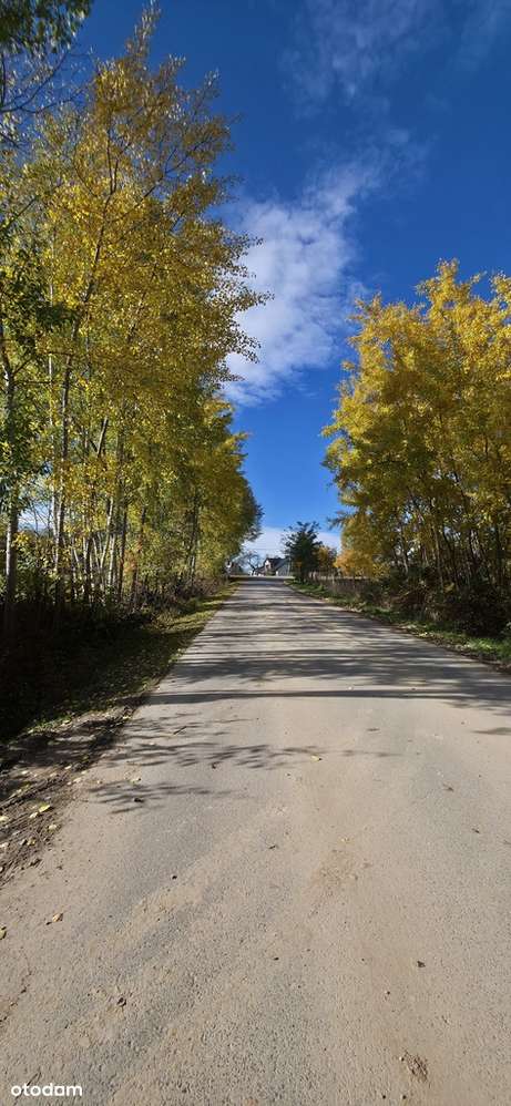 Domy w Gdowie, stan developerski - Pełny obrazek: 1/12