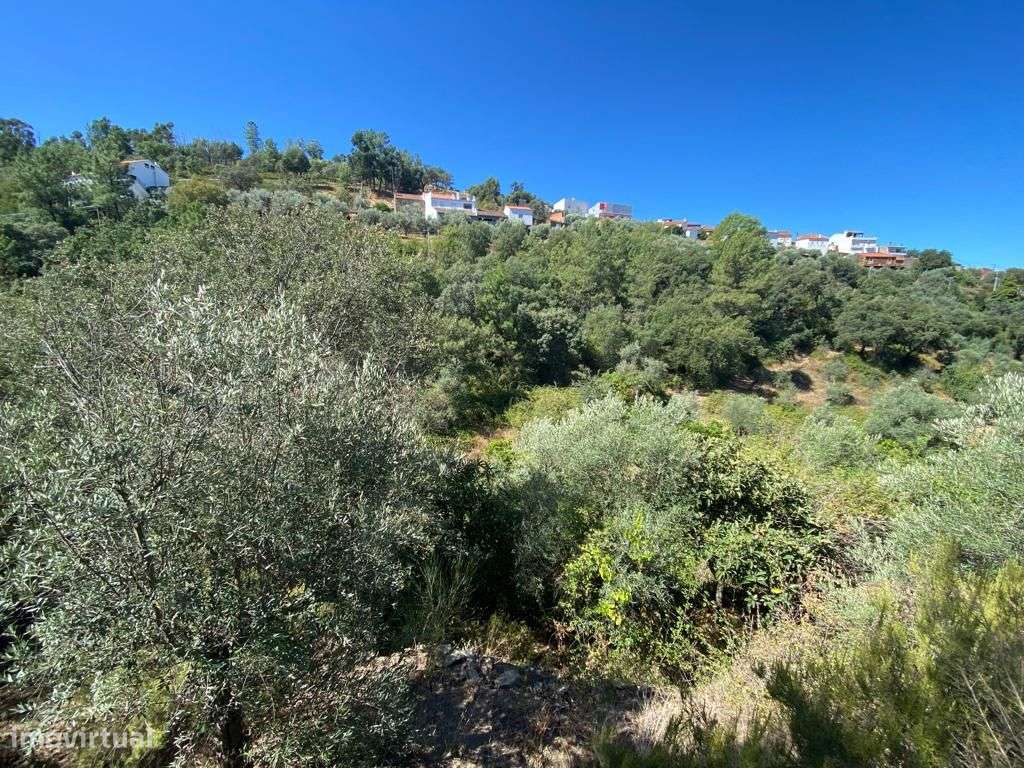 Quintinha - Grande imagem: 2/17