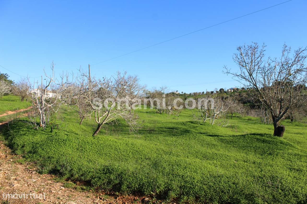 Terreno Rústico  Venda em Estômbar e Parchal,Lagoa (Algarve) - Grande imagem: 2/7