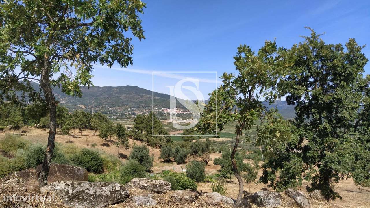 Terreno  Venda em Belmonte e Colmeal da Torre,Belmonte-11