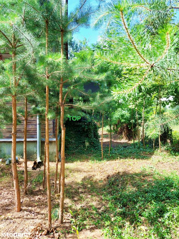 Unikalna działka na Boernerowie-4