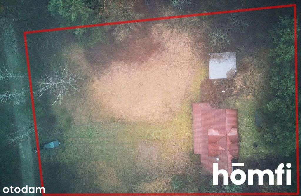 Dom z dużą działką Czarny Las Kolonia - Roztocze - Pełny obrazek: 5/20