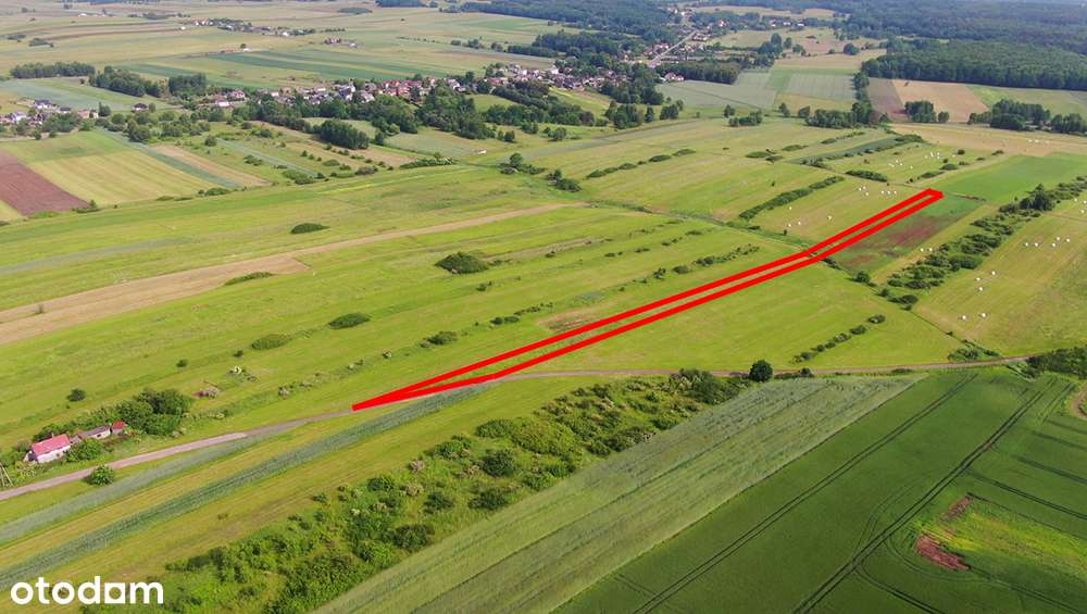 Działka rolna Poręba-Niwki-1