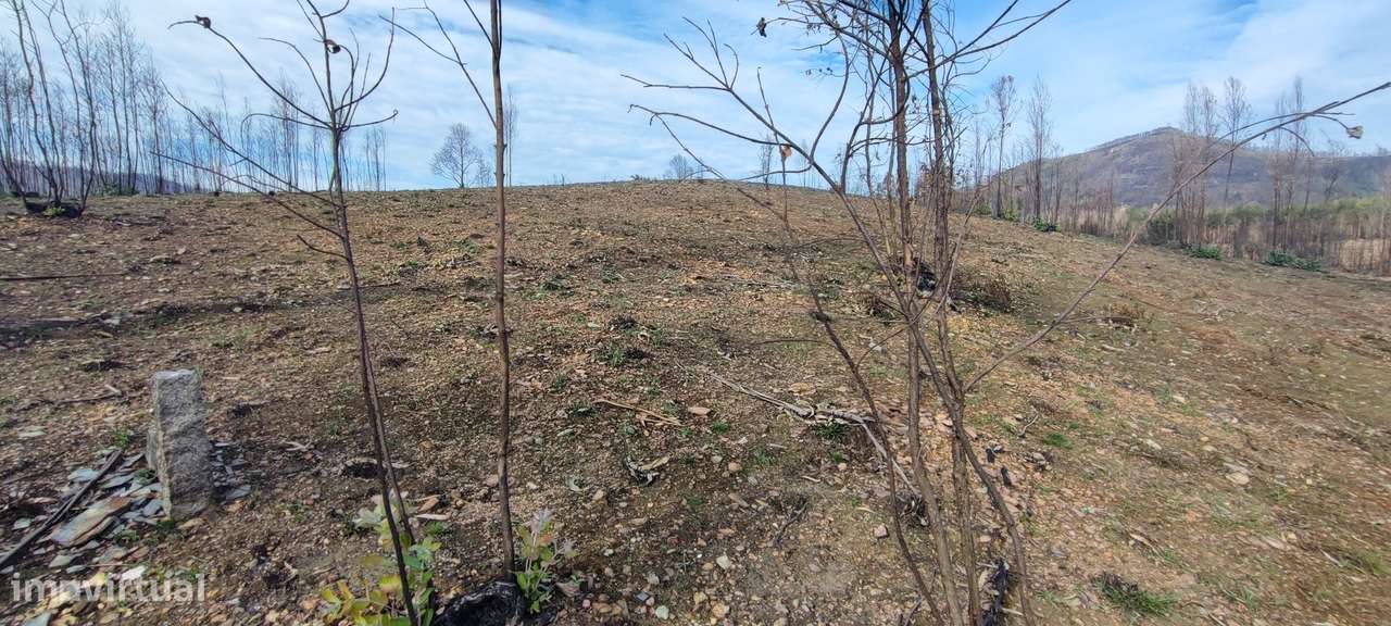 Terreno  Venda em Melres e Medas,Gondomar-4