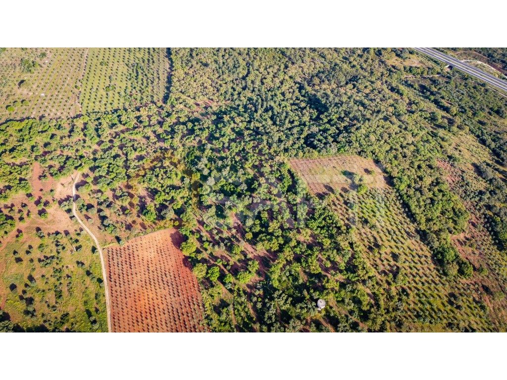 Herdade de rentabilidade diversificada