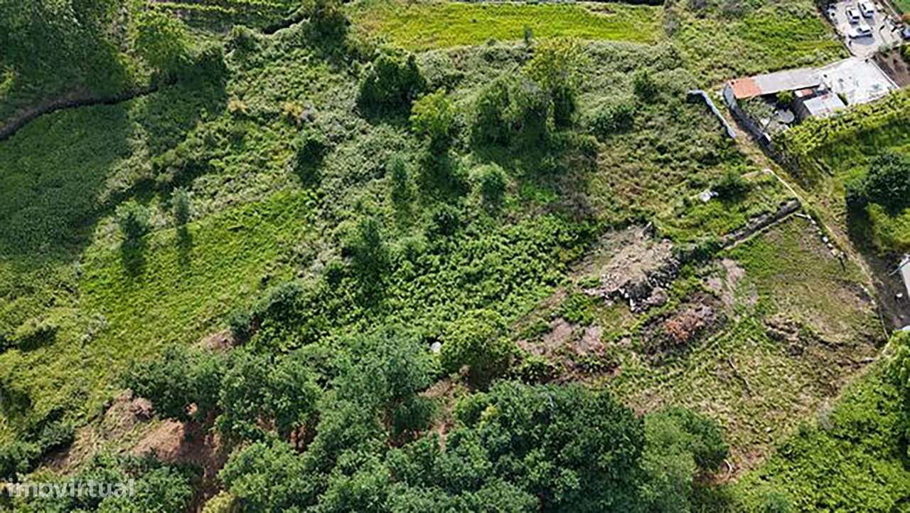 Terreno para Venda em Baltar - Paredes - Distrito do Porto-7