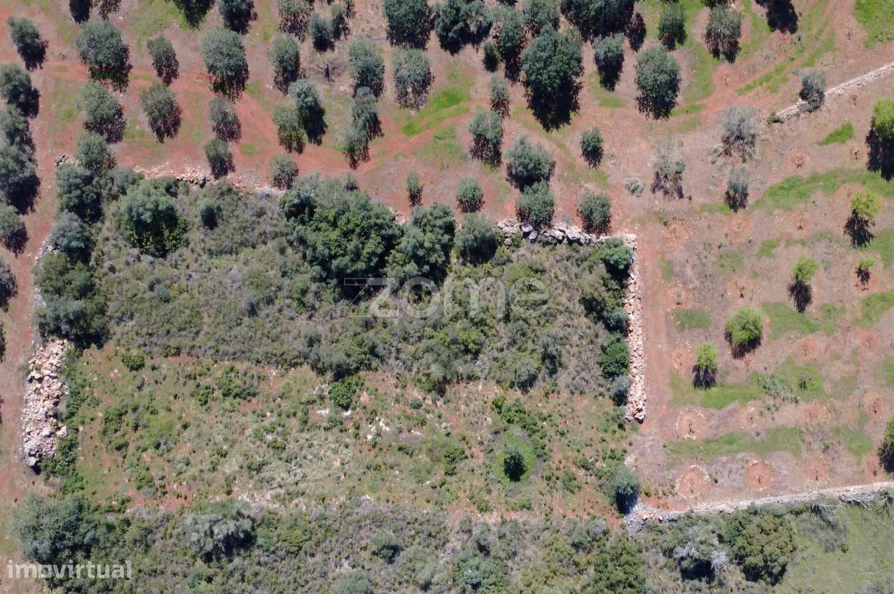 Terreno Rústico com 1390 m² na zona de Lagoão - Grande imagem: 4/17