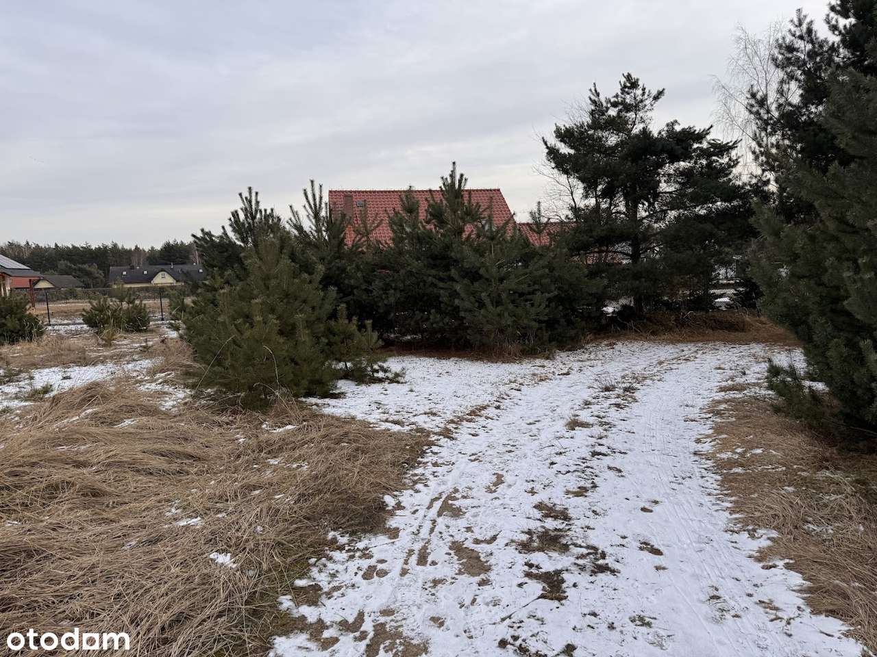 Wierzyce/Osiedle Pod Sosnami/P,W,G,K-5