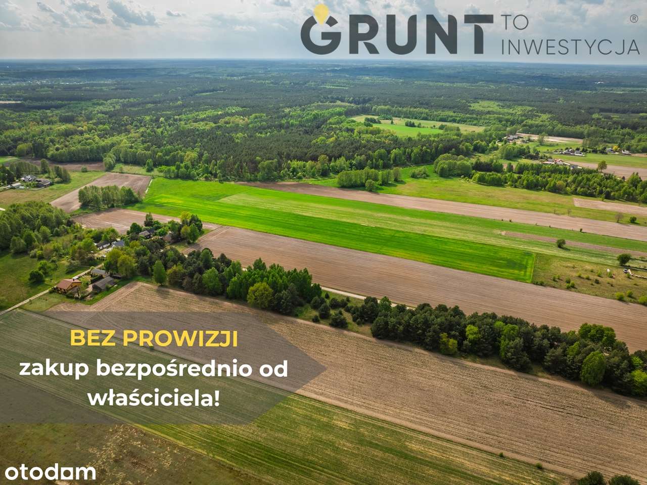 Działki budowlane położone przy ścianie lasu - Pełny obrazek: 4/12