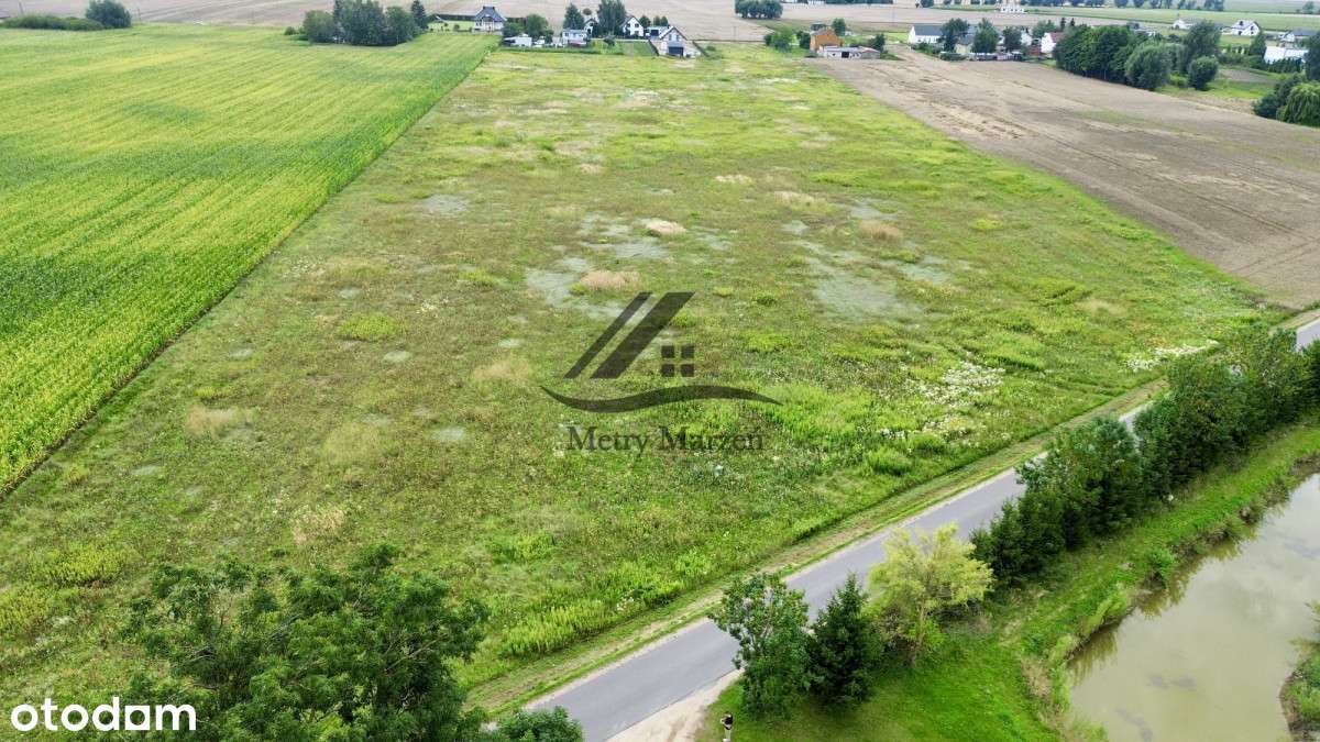 Działki budowlane - Łysomice - Gostkowo - Nowe! - Pełny obrazek: 5/5