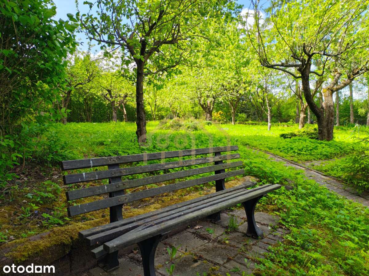 Klimatyczna działka nad Narwią - Pełny obrazek: 5/18