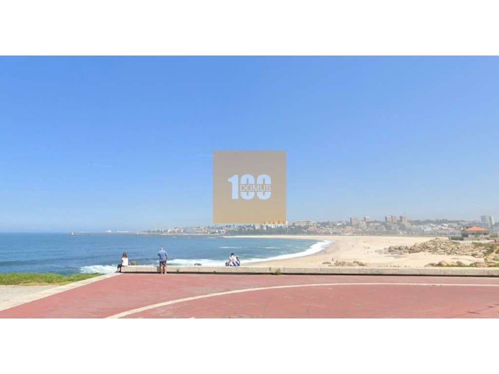 T1+1 novo em Canidelo, Gaia-16