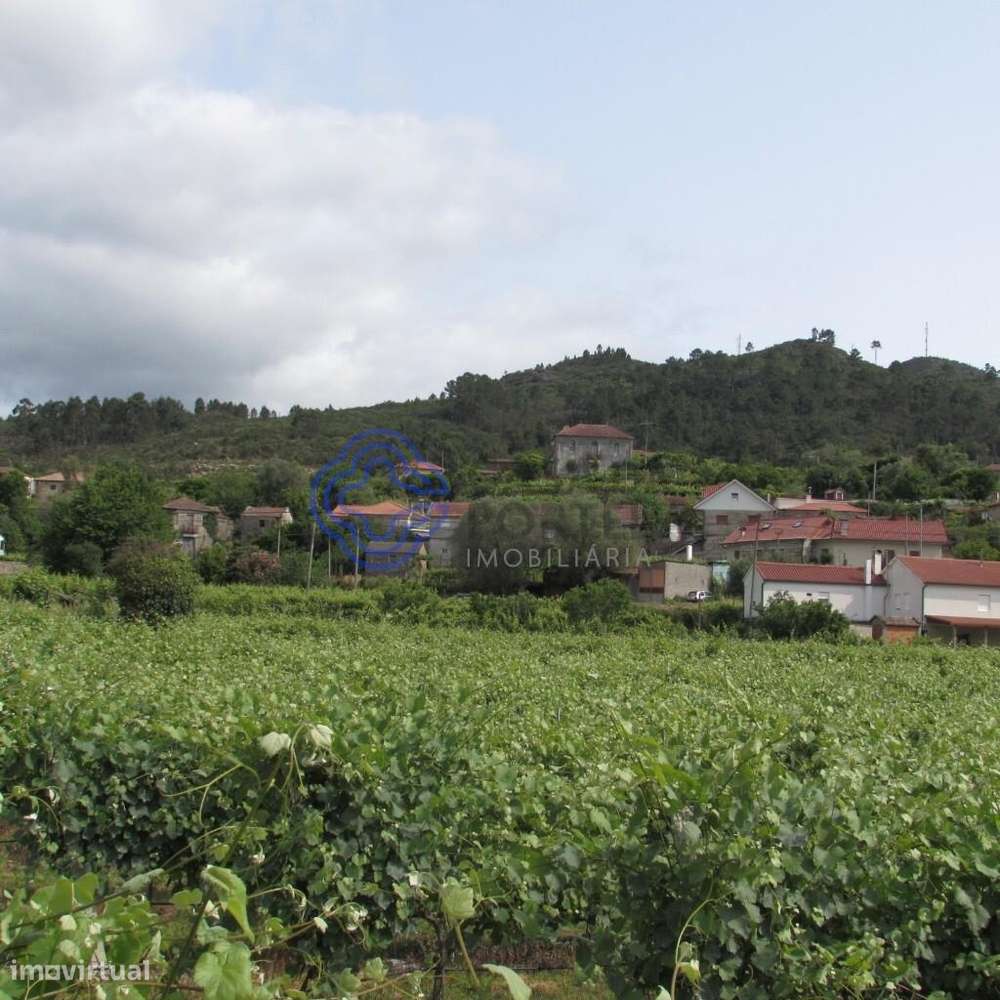 Casa em Monção - Grande imagem: 5/32