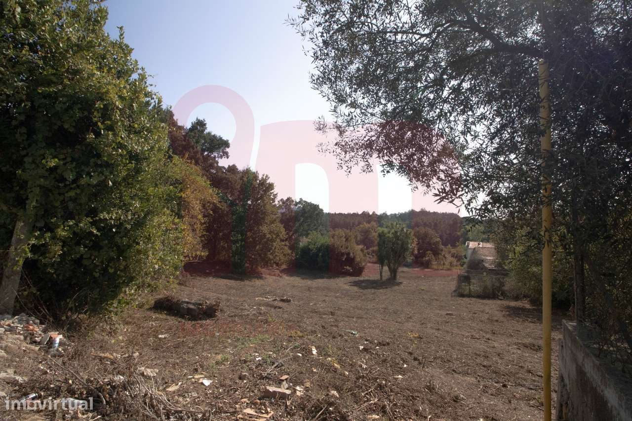 Terreno Urbano  Venda em Lama,Barcelos - Grande imagem: 5/16