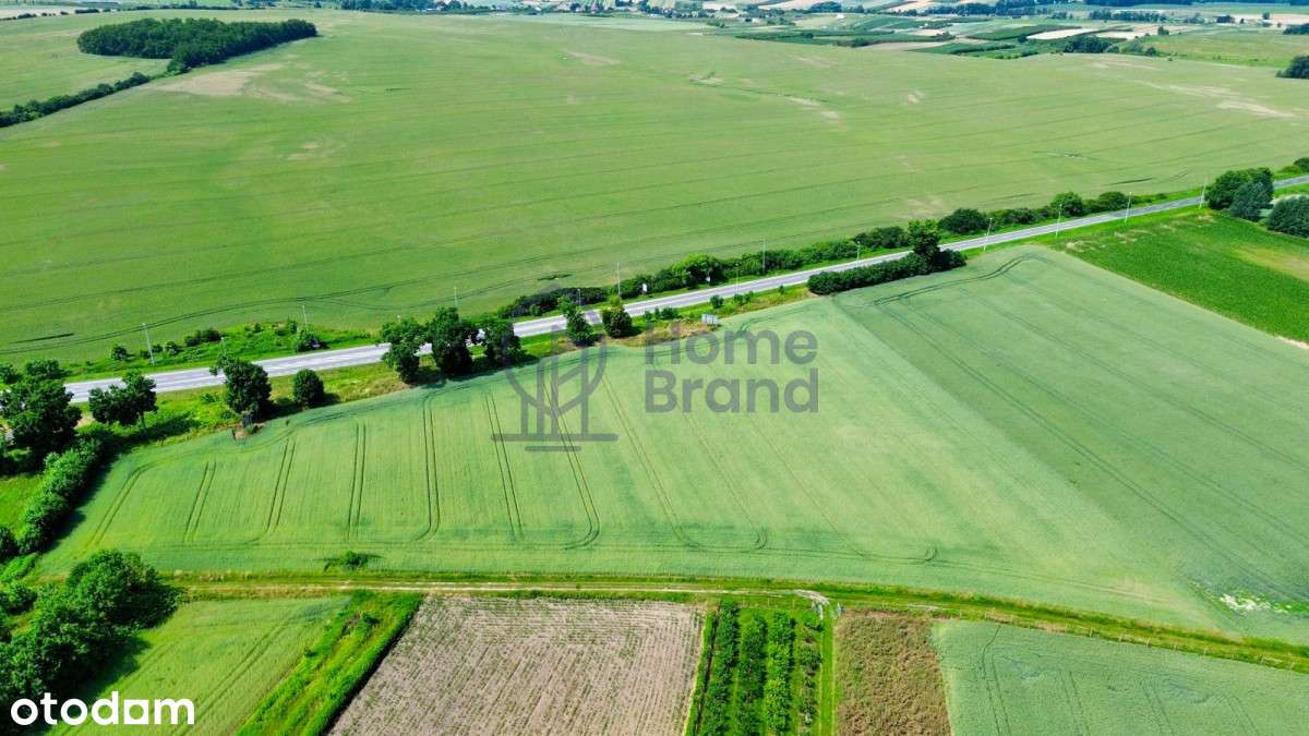 Obwodnica Trzebnicy| blisko s5|Świetna lokalizacja-2