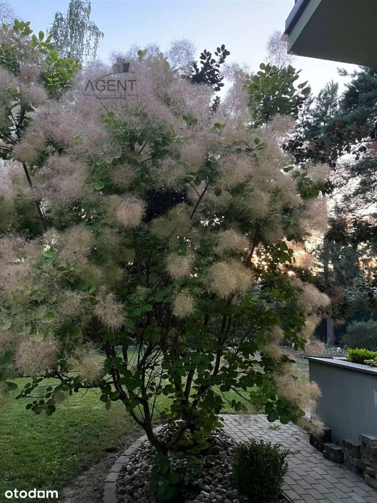 Dom w malowniczym zakątku Bydgoszczy!!!-5