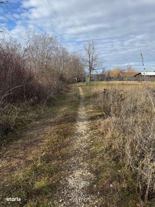 Teren intravilan Bananai - 2939 mp - Imagine principală: 2/3