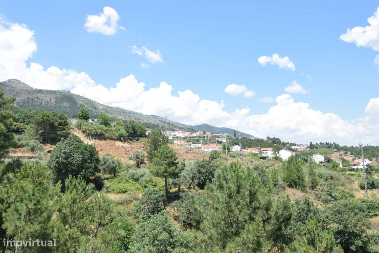 Terreno com 4.522 m² e Viabilidade de Construção - Vila do Carvalho-40