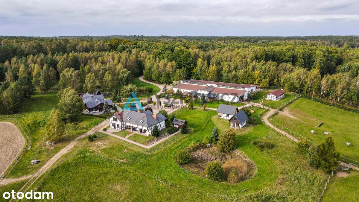 Ośrodek - Stadnina, Domki, Hotel I Restauracja - Pełny obrazek: 4/20