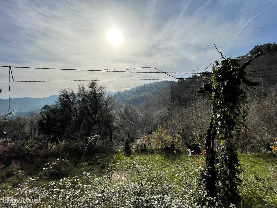 Terreno  para venda