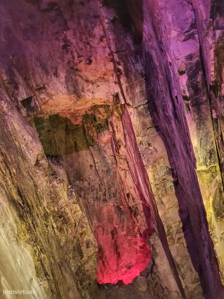 Quinta 5.3 ha, Covilhã-10