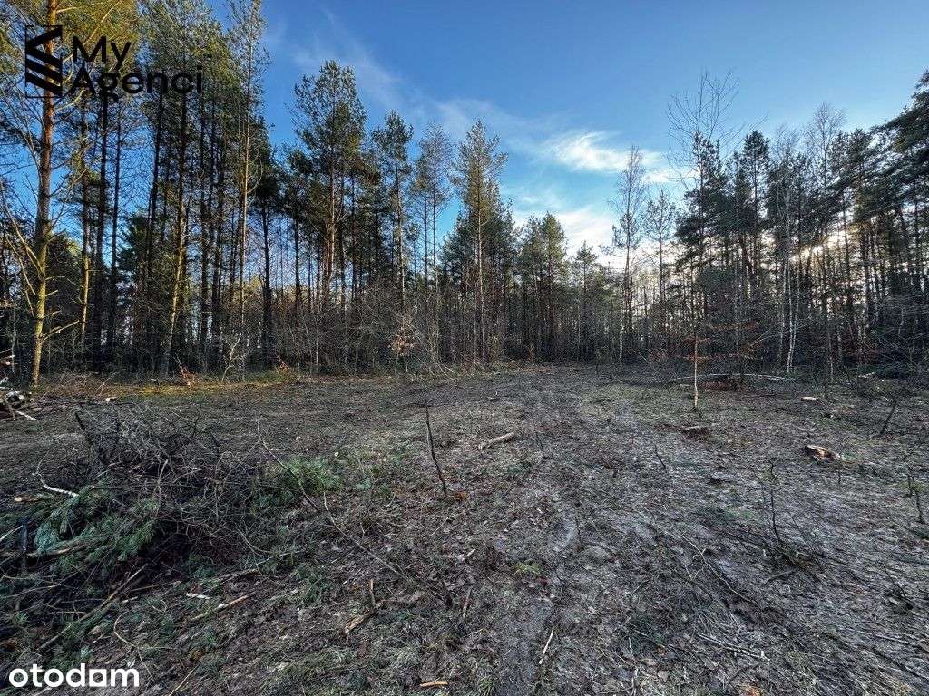 Lewino, ul. Lipowa - działki na sprzedaż-18