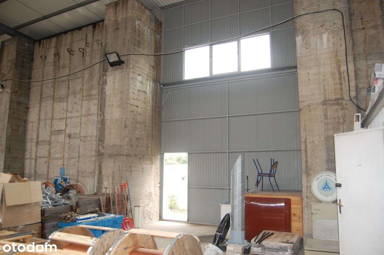 Teren Przemysłowy Hala 1200 m2 Wysokość 8m - Pełny obrazek: 5/11