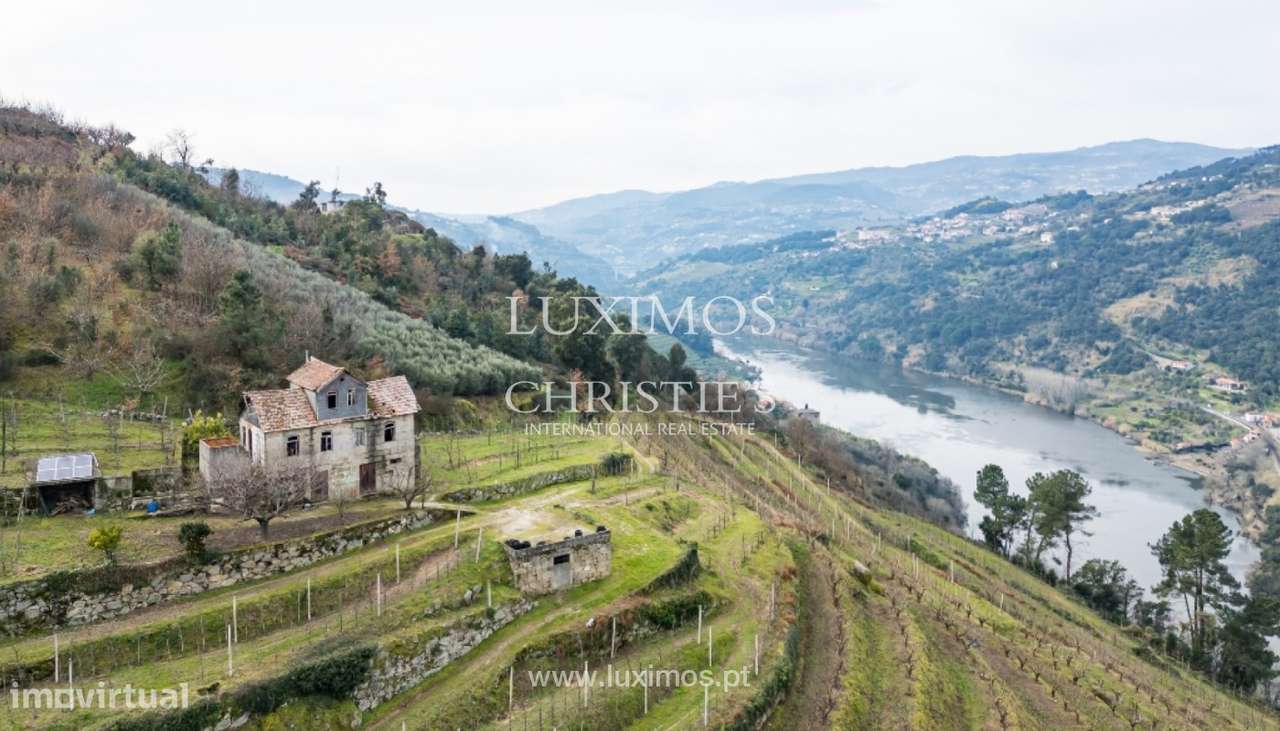 Fantástica quinta à venda no Douro Valley, Resende - Grande imagem: 5/25