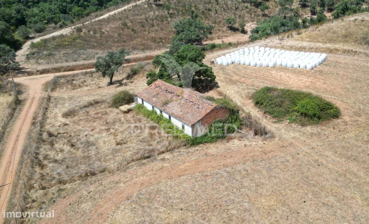 Herdade com 36,9000 ha a 3 Km do Pego das Pias - Grande imagem: 4/40