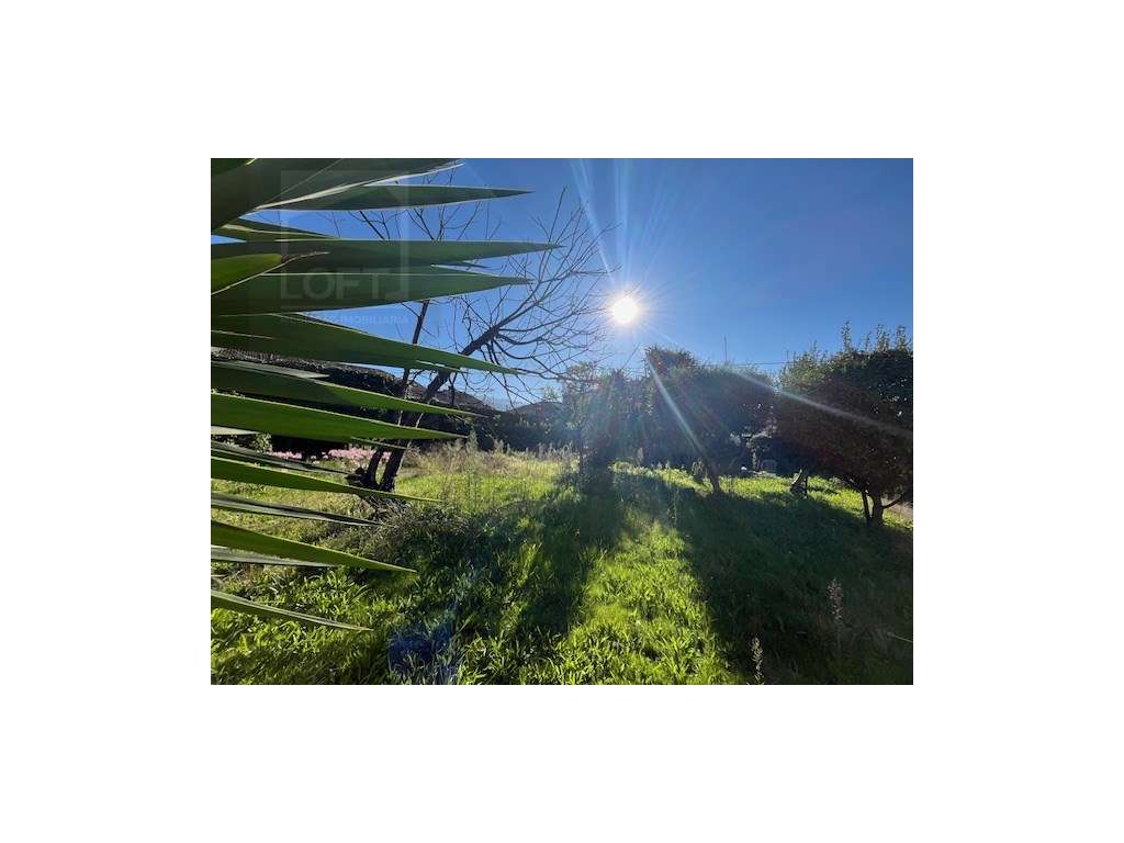 Moradia c/ Jardim Grande no Centro de Guimarães - Grande imagem: 2/55