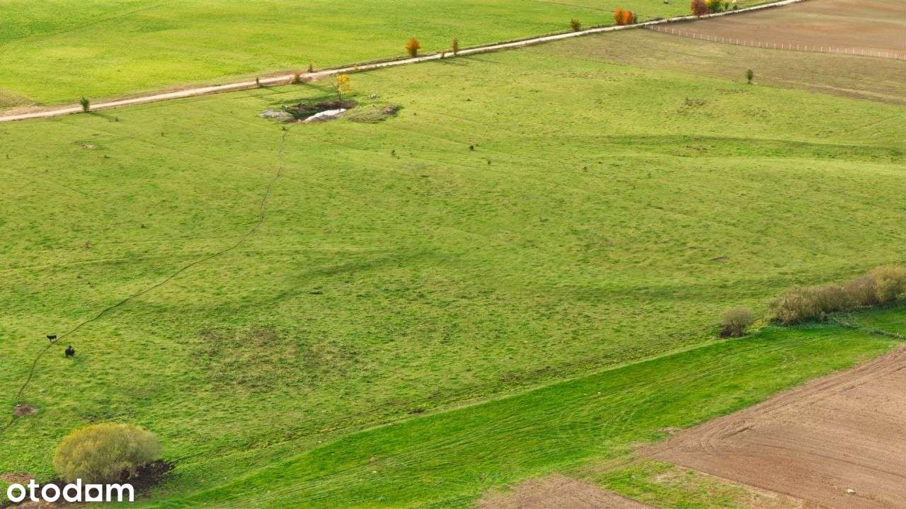 Duża działka blisko jeziora Śniardwy – Zdory-11