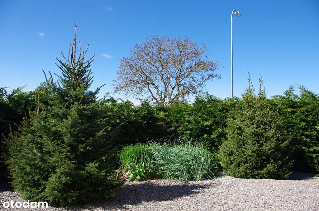 Ciekawy dom wolnostojący pod Gdańskiem-5