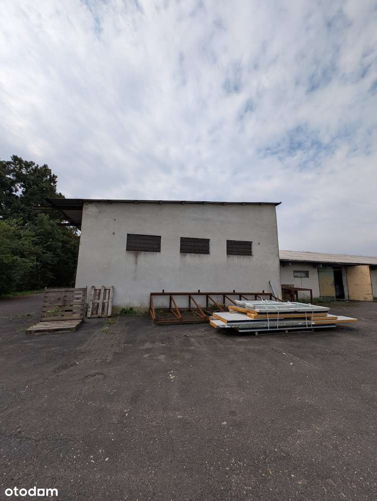 hale produkcyjno-magazynowe - Pełny obrazek: 5/20
