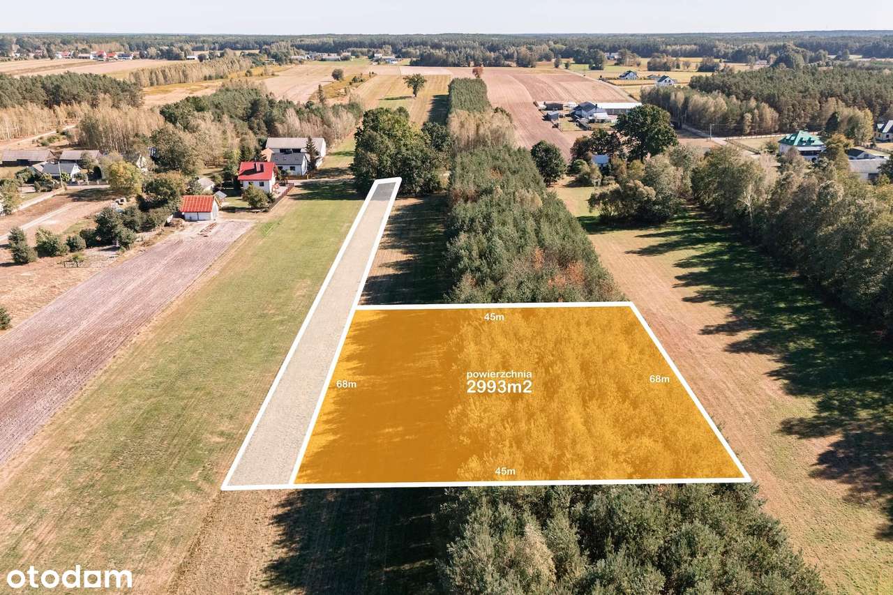 Duże działki w spokojnej okolicy z możliwością zabudowy + prywatny las - Pełny obrazek: 5/14