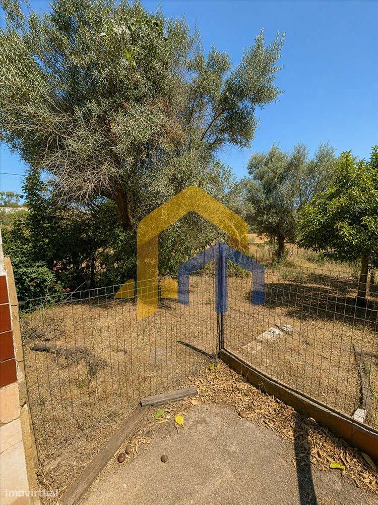 Quintinha para Recuperação Total em Glória – Estremoz-41