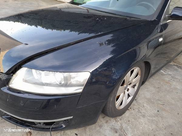 Guarda Lamas Esquerdo Audi A6 (4F2, C6) - 1