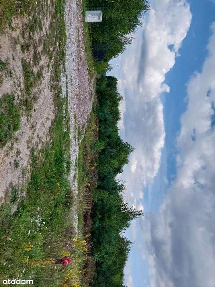 Działka w Błotni na sprzedaż-4