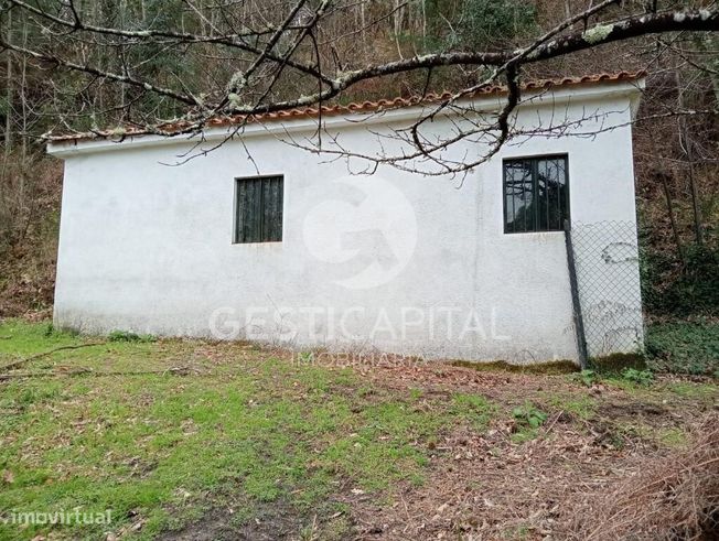 Oportunidade Única: Quinta para Habitação, Turismo ou Agricultura em M-28