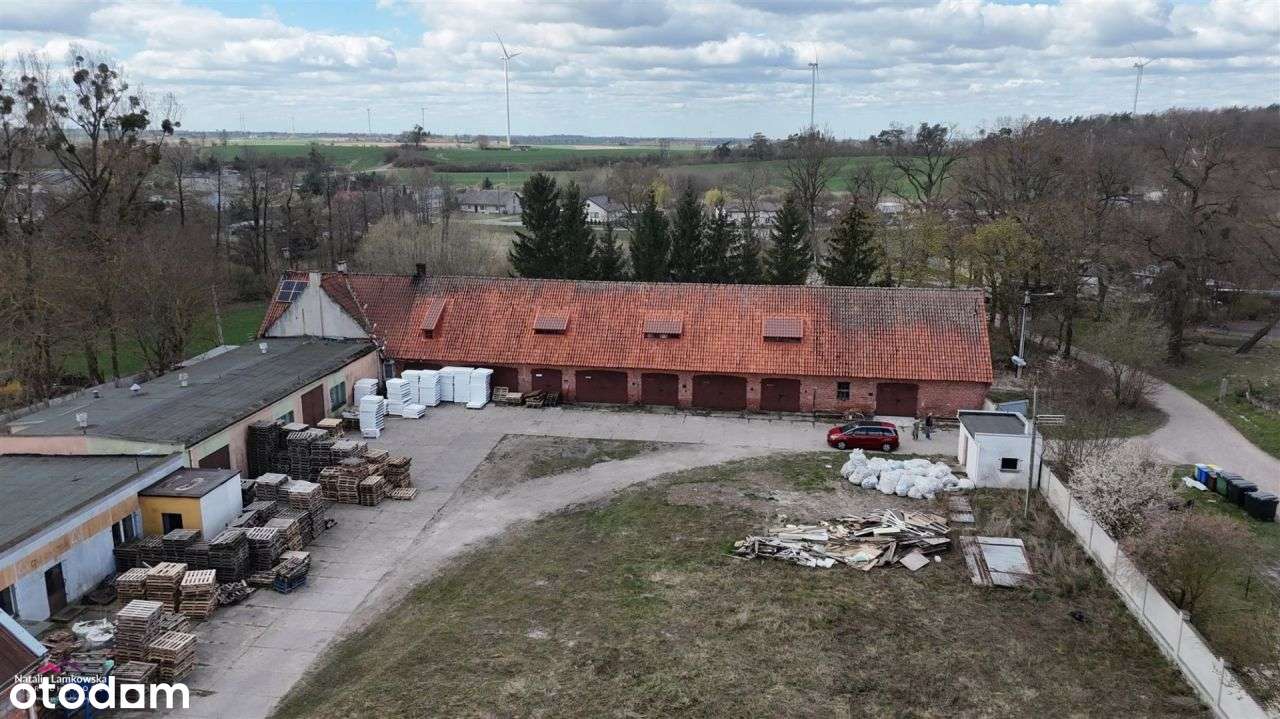 obiekt inwestycyjny*Zakrzewo k.Radzynia Chełmińskiego - Pełny obrazek: 5/20