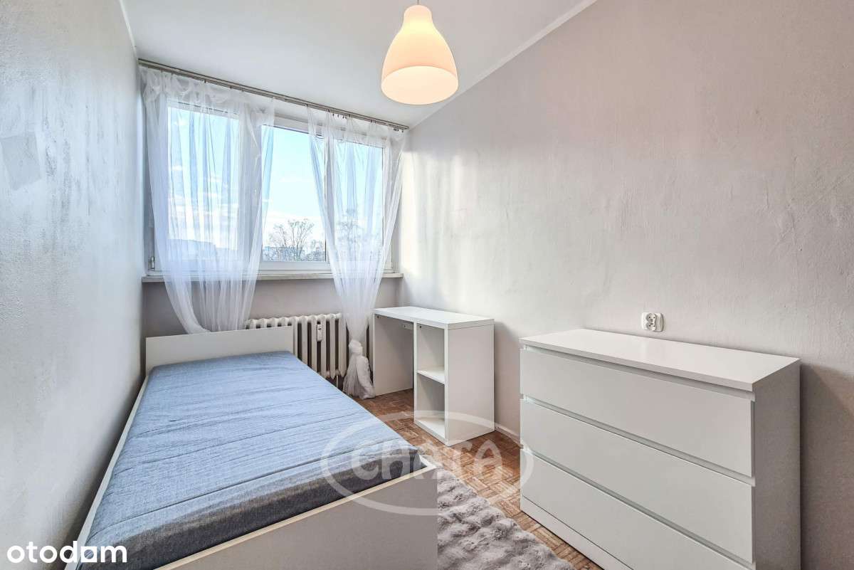 957872 - Pełny obrazek: 5/17