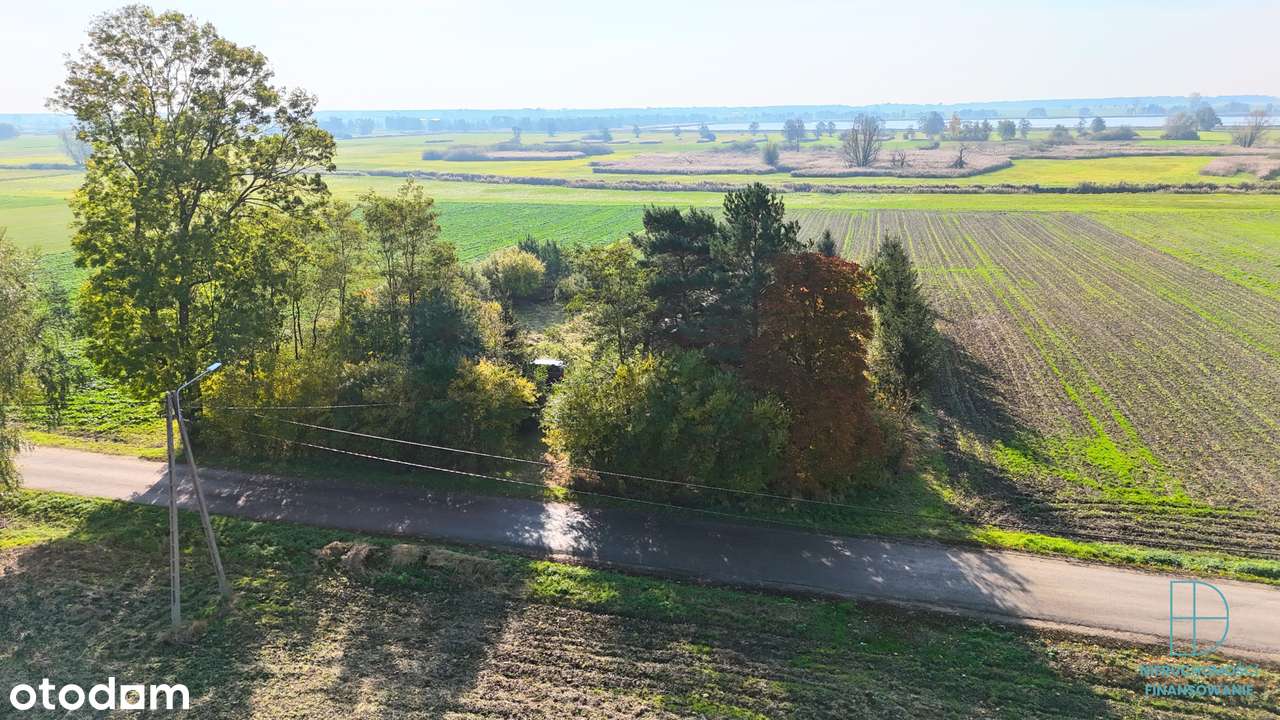 Działka z potencjałem wśród pól i zieleni – Gosławice, 2045 m² - Pełny obrazek: 4/19