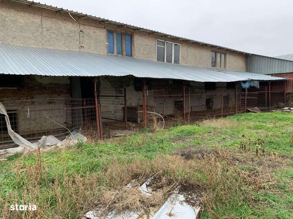 Casa cu teren 8300 mp-5