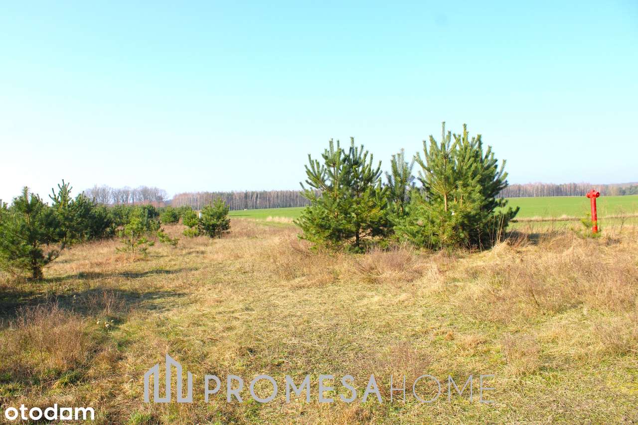 Karczewko działka bud MPZP prąd woda 70zł/m2 las jezioro !!-3